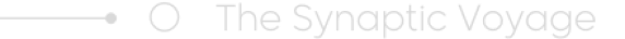 The Synaptic Voyage Subtitle